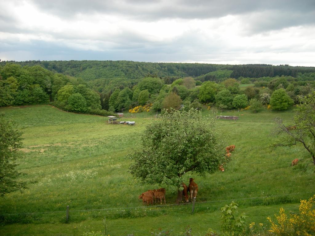 Landhaus Bad Bertrich Bad Bertrich