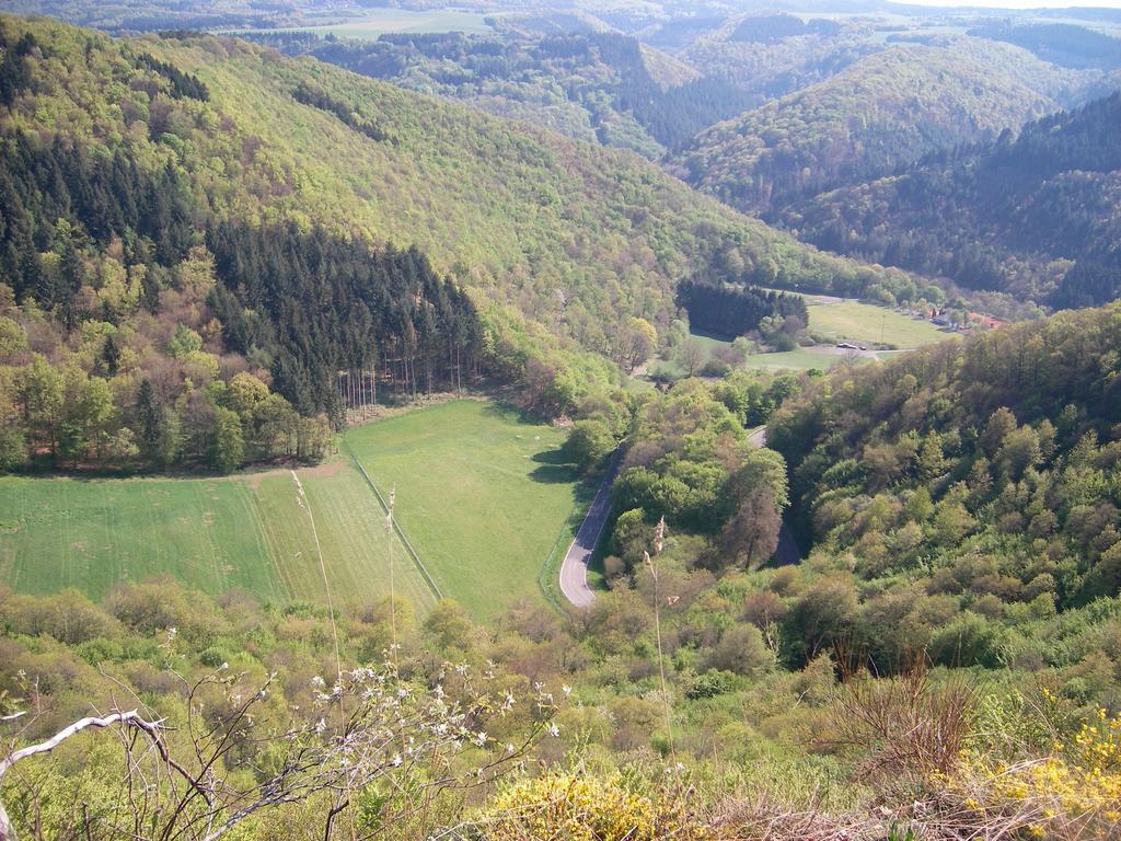 Landhaus Bad Bertrich