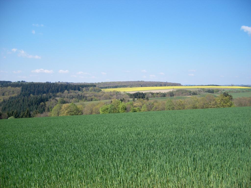 Landhaus Bad Bertrich