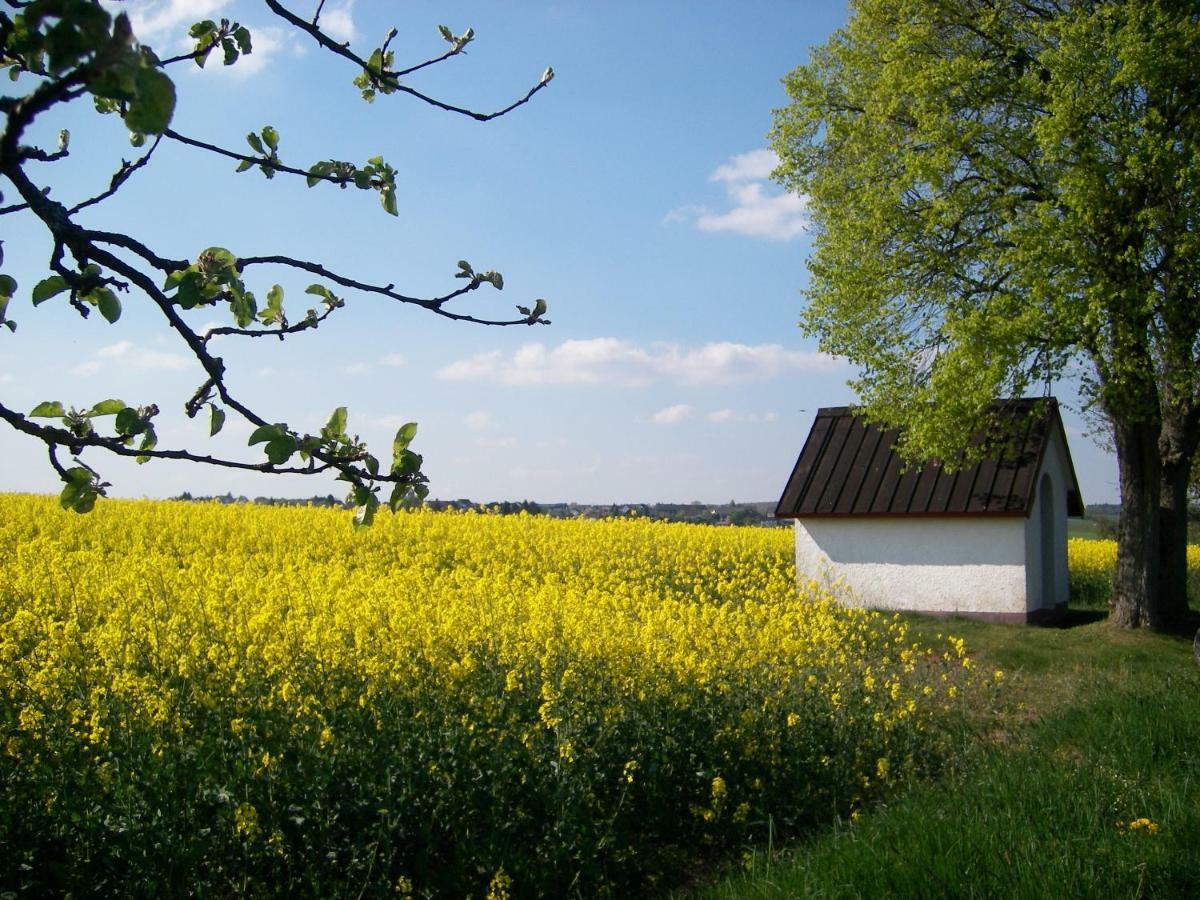 Landhaus Guest house *